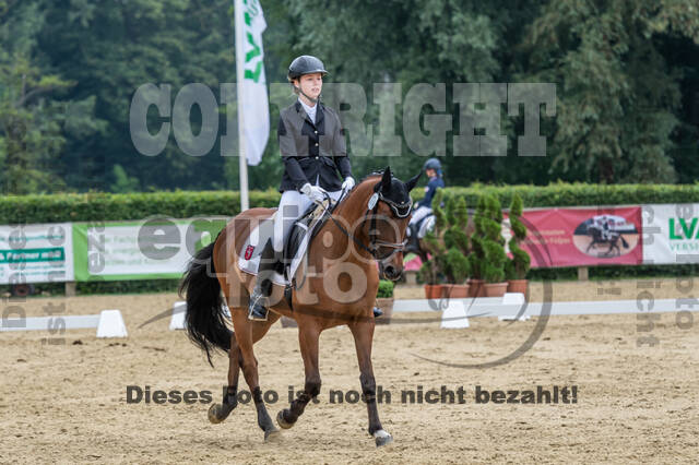 Goldene Schärpe 2021 - Ponys