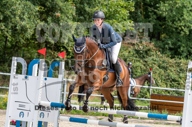 Late-Entry-Vielseitigkeit Langenfeld (06.+07.07.2020)