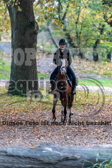 IGV Lehrgang der Sieger der Cups mit Frank Ostholt