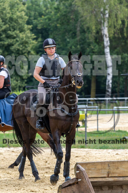 Hunter Geländetraining 10.07.2021 (Sonsbeck)