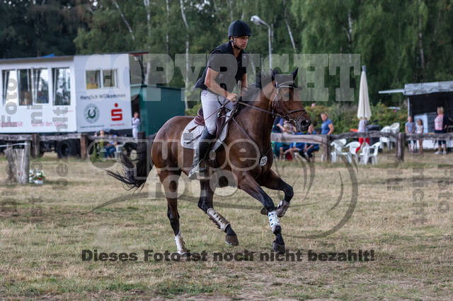 Late-Entry Vielseitigkeit Hamminkeln/Wesel (01.+02.08.2020)