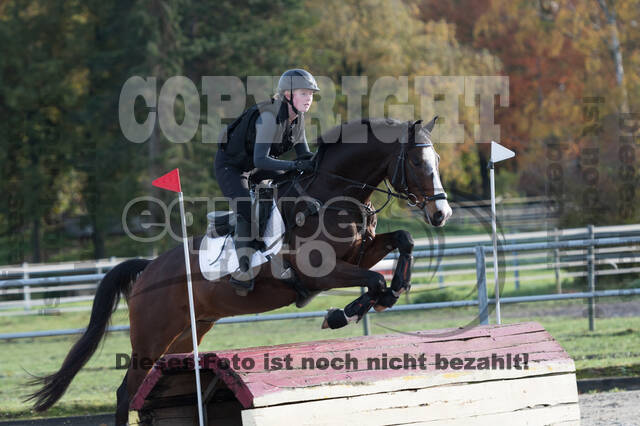 IGV Lehrgang der Sieger der Cups mit Frank Ostholt