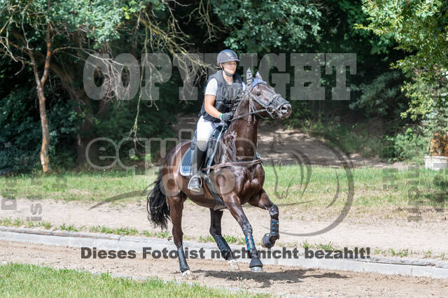 Late-Entry-Vielseitigkeit Langenfeld (11.+13./14.06.2020)