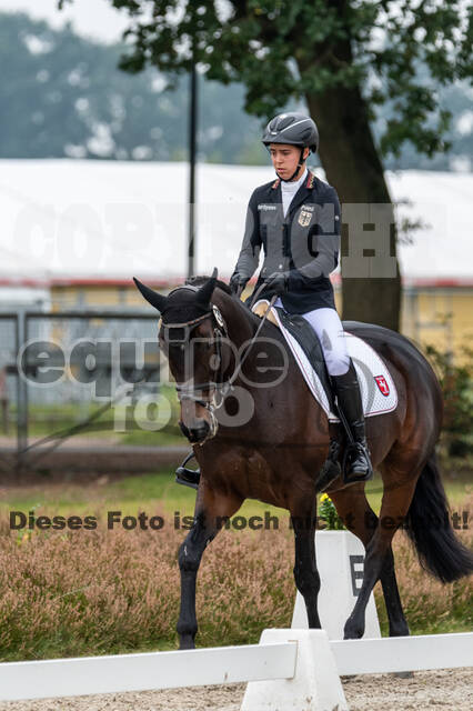Deutsche Meisterschaft Vielseitigkeit (Luhmühlen)