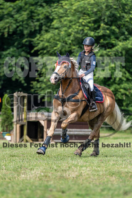 Goldene Schärpe 2021 - Ponys