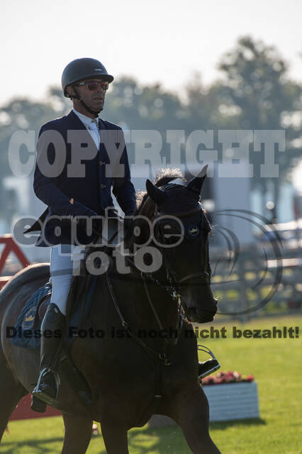 De Peelbergen (August 2020)