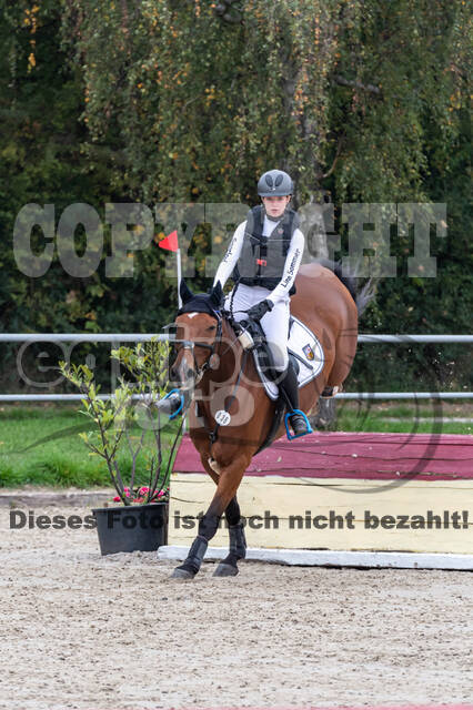 Goldene Schärpe 2020 - Pferde