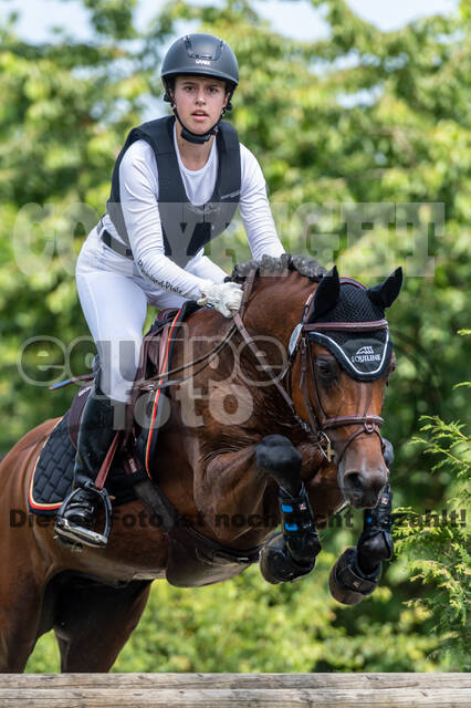 Goldene Schärpe 2021 - Ponys