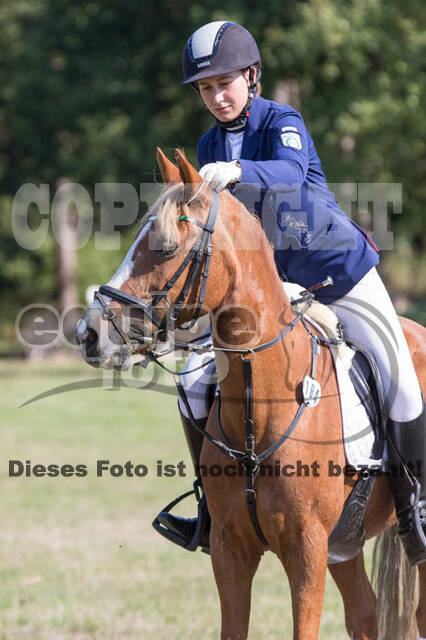 Vielseitigkeitsturnier RSV St. Hubertus Wesel Obrighoven