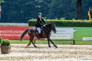Goldene Schärpe 2021 - Ponys