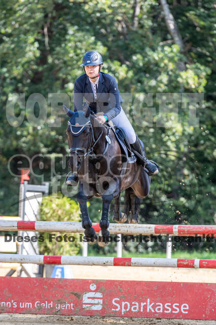 RFV Dinslaken-Hiesfeld (Herbstturnier)