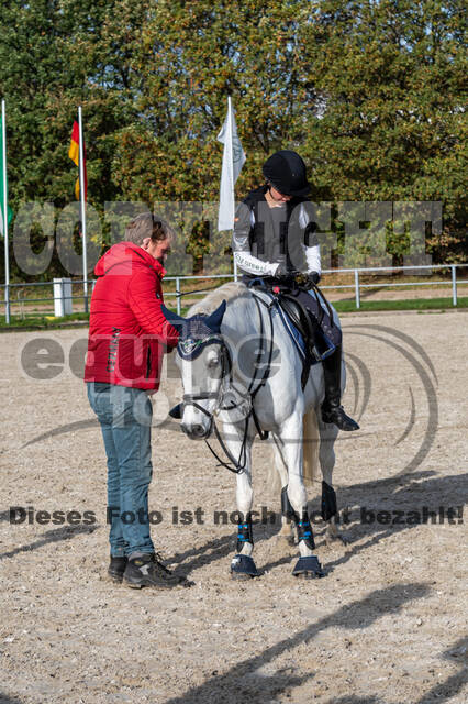 IGV Lehrgang der Sieger der Cups mit Frank Ostholt