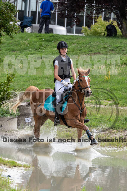 Late-Entry-Vielseitigkeit Langenfeld (06.+07.07.2020)