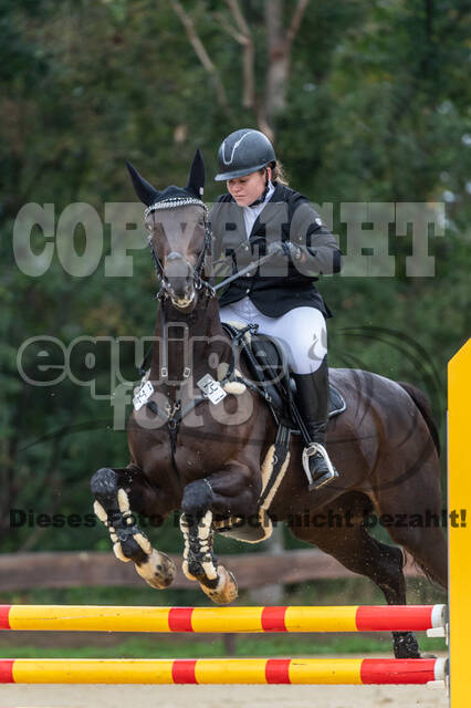 Vielseitigkeit RSV Wesel Obrighoven (26.+27.09.2020)