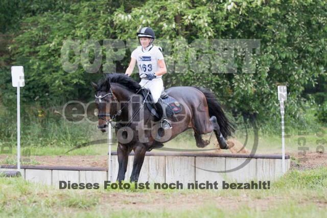 Vielseitigkeitsturnier ZRFV von Lützow Hamminkeln