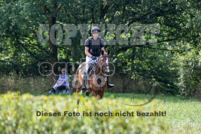 Late-Entry-Vielseitigkeit Gahlen (18.07.2020)