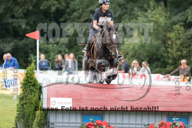 FEI European Championship