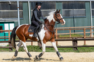 Geländetraining ZRFV Hamminkeln (24+25.04.2021)