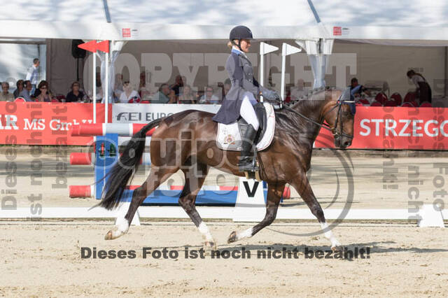 FEI European Championship Eventing 2017