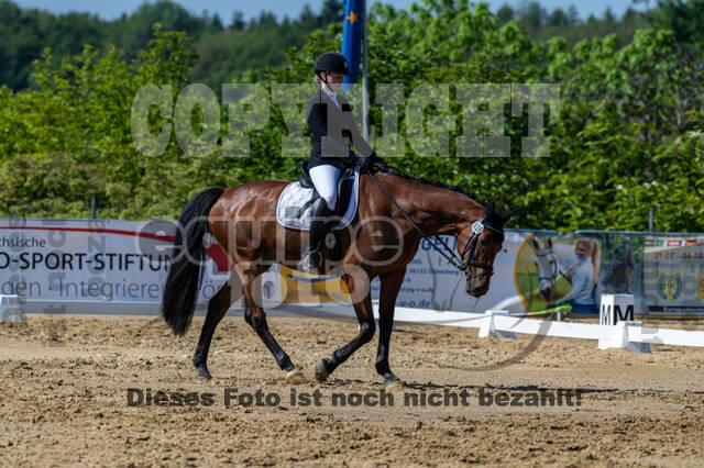 Westerstede Horse Trials 2021