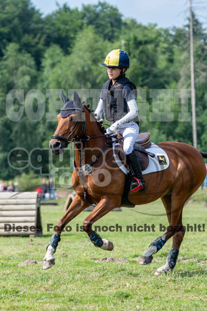 Goldene Schärpe 2021 - Ponys