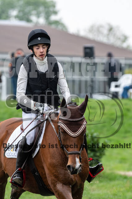 Goldene Schärpe 2020 - Pferde