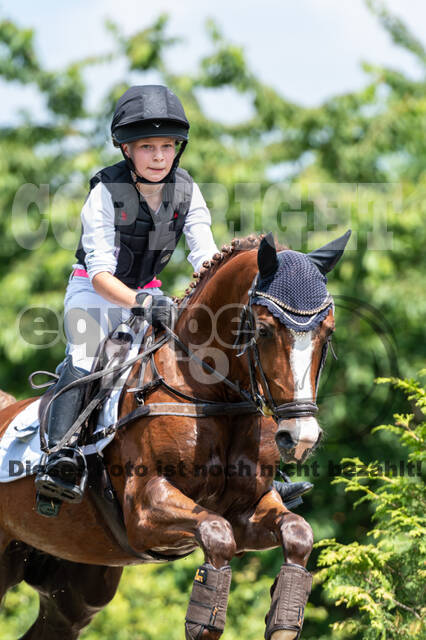 Goldene Schärpe 2021 - Ponys