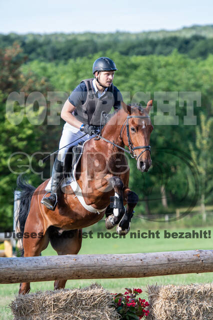 Bonn-Rodderberg Late-Entry-Vielseitigkeit (30.06.2020)