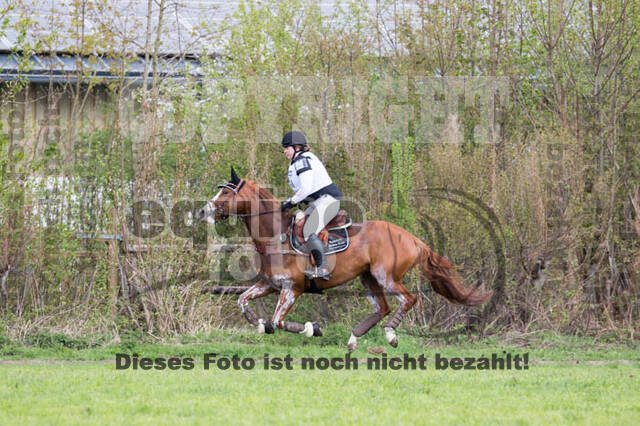 Vielseitigkeitsturnier RV Lippe-Bruch-Gahlen