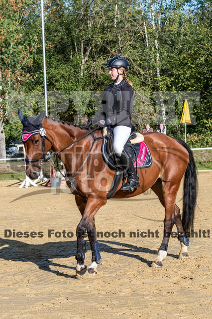 RFV Dinslaken-Hiesfeld (Herbstturnier)