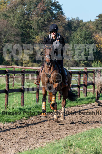 Vielseitigkeitslehrgang mit Jürg Kurbel (9.+10.11.2019)