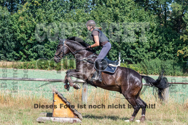 Hunter Geländetraining (16.08.2020)