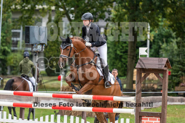 Vielseitigkeit RSV Wesel Obrighoven (26.+27.09.2020)