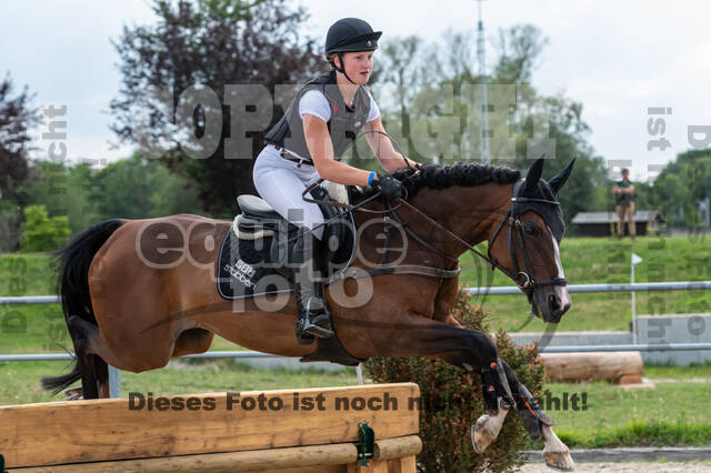 Late-Entry-Vielseitigkeit Langenfeld (06.+07.07.2020)