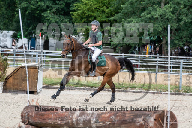 Late-Entry-Vielseitigkeit Langenfeld (11.+13./14.06.2020)