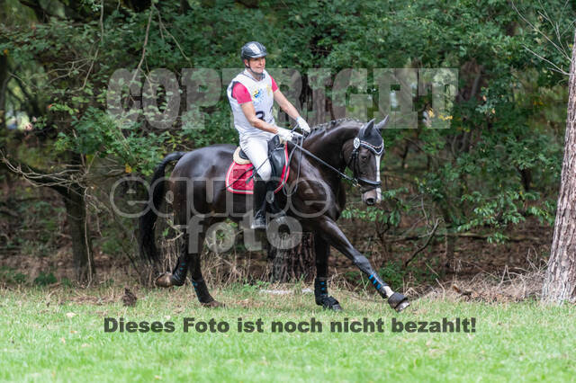 Vielseitigkeit RSV Wesel Obrighoven (26.+27.09.2020)