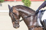 FEI European Championship