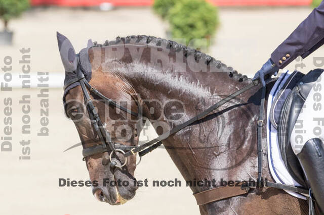 FEI European Championship