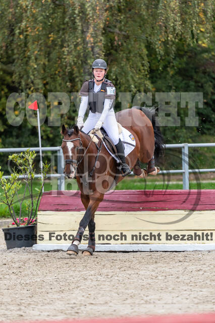 Goldene Schärpe 2020 - Pferde