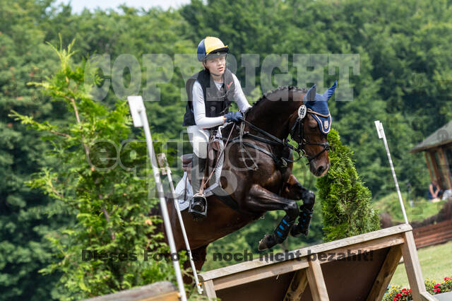 Goldene Schärpe 2021 - Ponys