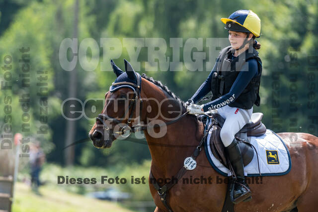 Goldene Schärpe 2021 - Ponys