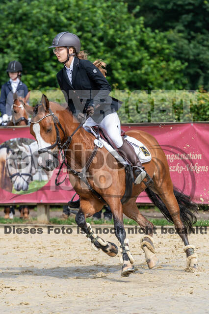 Goldene Schärpe 2021 - Ponys