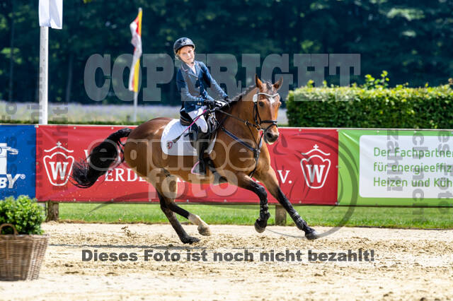 Goldene Schärpe 2021 - Ponys