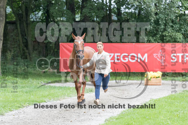 FEI European Championship Eventing 2017