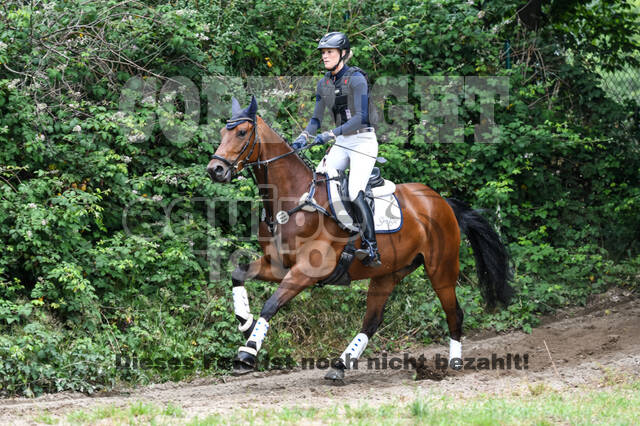 Late-Entry-Vielseitigkeit Langenfeld (11.+13./14.06.2020)