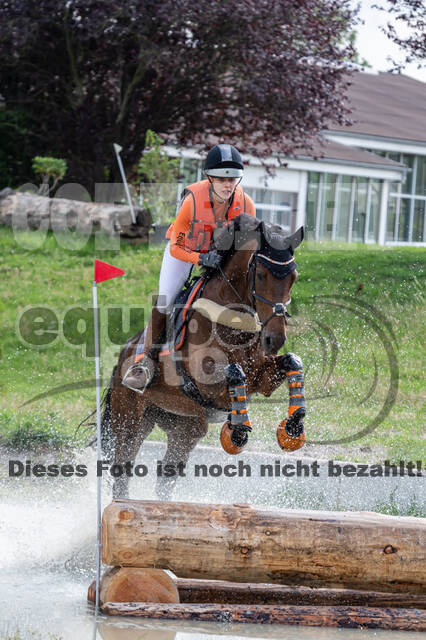 Late-Entry-Vielseitigkeit Langenfeld (06.+07.07.2020)