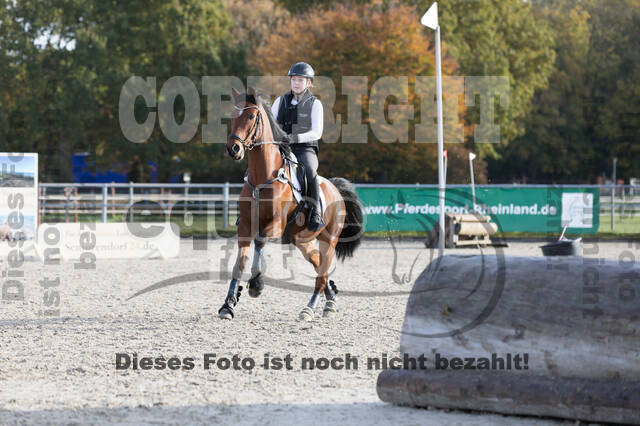 IGV Lehrgang der Sieger der Cups mit Frank Ostholt