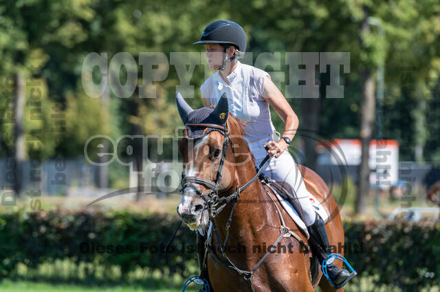 Kronenberg - De Peelbergen (August 2020)