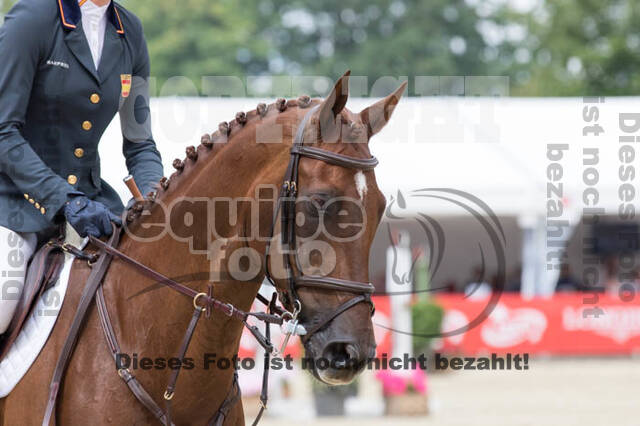 FEI European Championship Eventing 2017