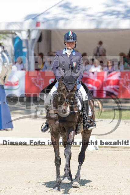 FEI European Championship